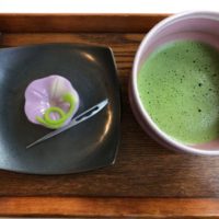 山種美術館のカフェ 椿の和菓子が秀逸!楽しみは2度訪れるとは?