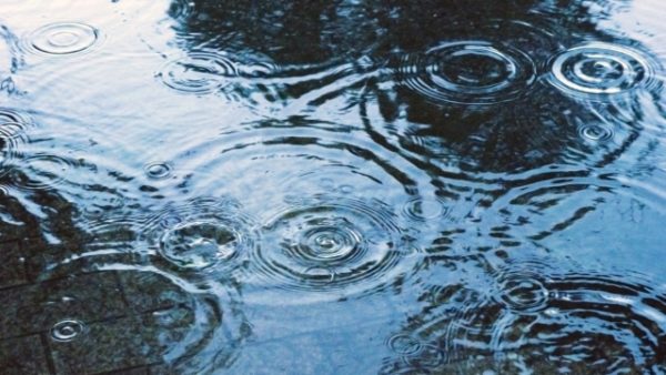 銀茶会 2019 雨