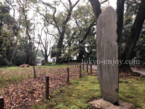 東京国立博物館 庭園開放