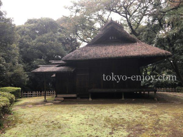 東京国立博物館 庭園開放