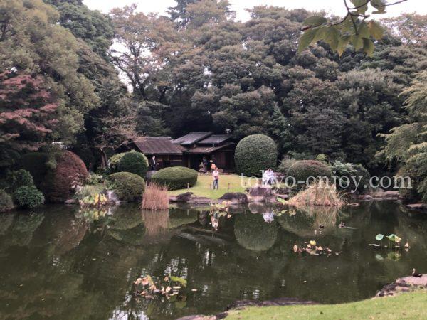 東京国立博物館 庭園開放